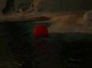 Beluga and the Bouy 2