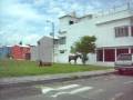 videos de Horses in your back yard - Caballos en tu jaardin, solo en Veracruz, solo en lindo Mexico
