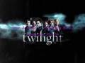 ***The Official Twilight Soundtrack Information***