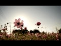 Pink Polaroid (봄날의 곰 mix) - Eluphant