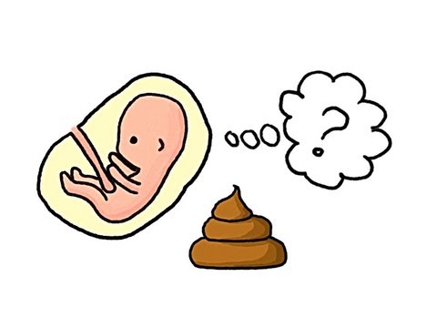 poop - Subscribe to MinuteEarth - it's FREE! - http://dft.ba/-minuteearth_sub Thanks to ScienceAlert for support! - http://www.sciencealert.com MinuteEarth is avail...