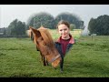 voor mijn rode schoonheid dissalief. muziek: erin mccarley - pony