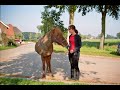 voor mijn rode schoonheid dissalief. muziek: erin mccarley - pony