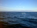 Whale Watching Tour Part 2