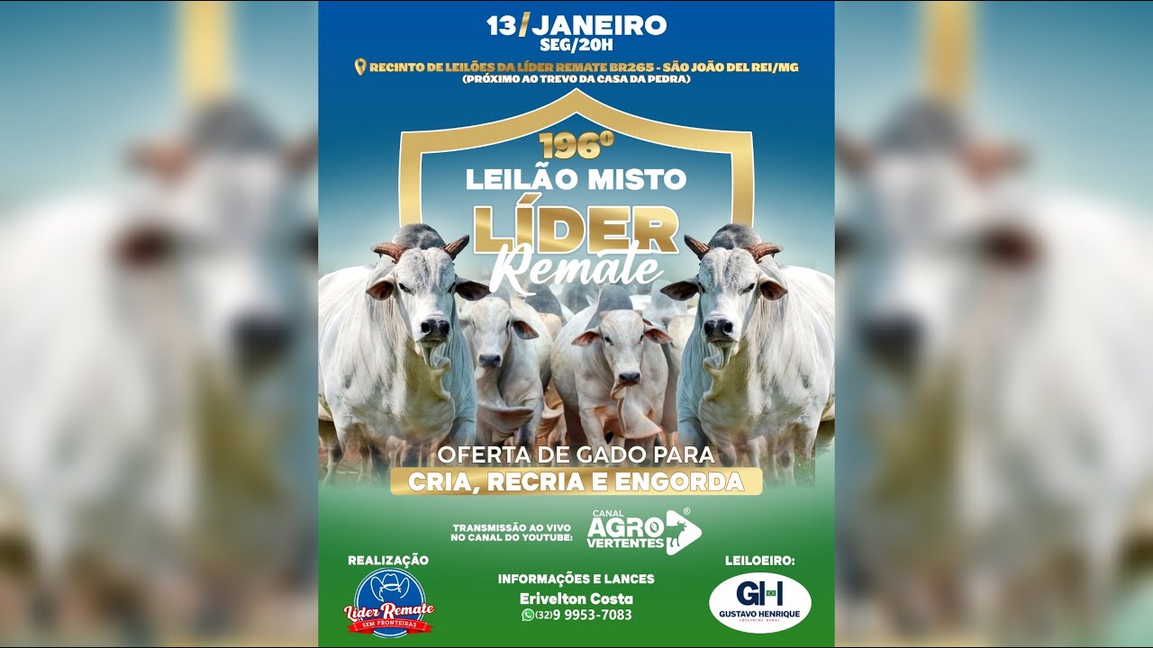 196º LEILÃO MISTO LÍDER REMATE - 13/01/2025