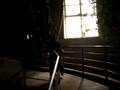 videos de Toward the light