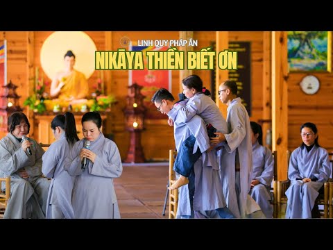 NIKAYA - Thiền Biết Ơn (17.1.2026)
