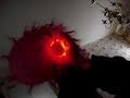 DOOOOOM!