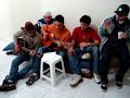 Violeros (Florestal)