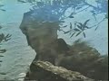 SALVADOR DALI - SU VIDA (2 de 5).avi