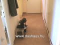 Tégla lakás eladó zalaegerszegen,lakás Zalaegerszegen eladó
