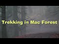Trekking in Mac Forest - Computer.m4v