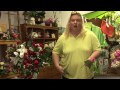 Flower Arrangements : Caring for Fresh-Cut Flowers