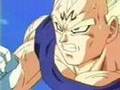 Vegeta-s-Grudge