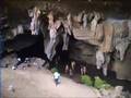 La Réserve Spéciale d'Ankarana (Madagascar)