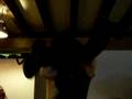 videos de dirty dancing.AVI