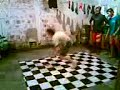 bboying