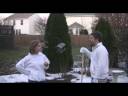 In the Garden of Eden (Part 2 of 2)