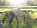 videos de goose tail grab
