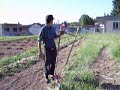 Brookside Energy Farm, May 30