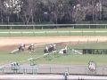 2009年12月19日 中山4R 障害未勝利 フォルテベリーニ