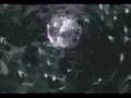 Assistir ao v�deo