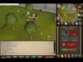 videos de total OWNAGE!!!!!!! pvp (lil kid218)