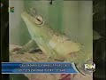 rtn-noticias-20081118.mp4 rtn-noticias-20081118.mp4