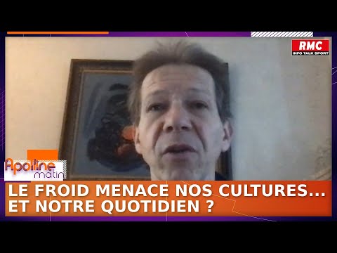 Image de prévisualisation YouTube