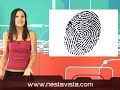telurica tv 70   cajeros usan huellas digitales y elefantes