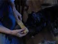 Akeela Eats Corn