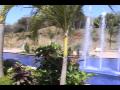videos de Parrot Tree Vblog