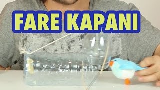 İnsancıl Fare Kapanı Nasıl Yapılır?