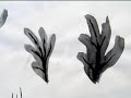 dibuixos tinta flors dibuixos tinta flors