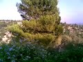 Mallorca Veranda Rundblick