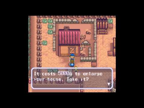 how to expand house in harvest moon ds