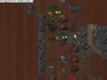 Jamera Pk Tibia