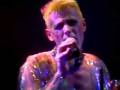 vera springveer: the days of ziggy stardust