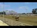 Camelback-riding