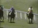 1985 (367) Premio BOSE (Grupo III) (LUNAR)