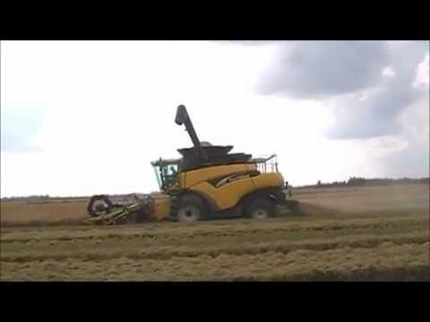 how to harvest rice in arkansas