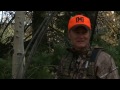 New Mexico Elk Hunting with Fishtail Ranch