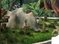 videos de EWAS at Children's Grand Park- elephant, lions and monkeys