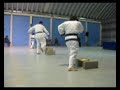 Yu Dan Ja Shim Sa - Rompimientos (3er Dan)