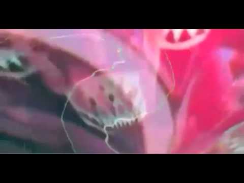 Image de prévisualisation YouTube