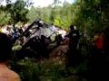videos de Rainforest Portugal - Facochero 2