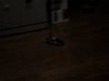 videos de MOV03642