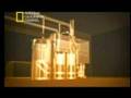 Ver Video