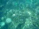 snorkeling manele bay