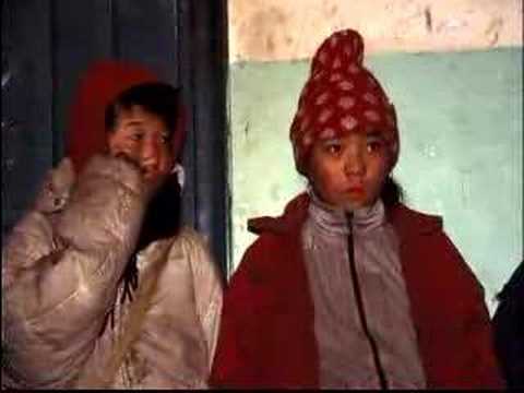 One Steppe at a Time: F.I.R.E. in ...